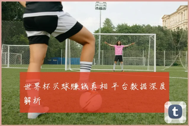 世界杯买球赚钱真相 平台数据深度解析