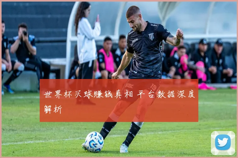 世界杯买球赚钱真相 平台数据深度解析